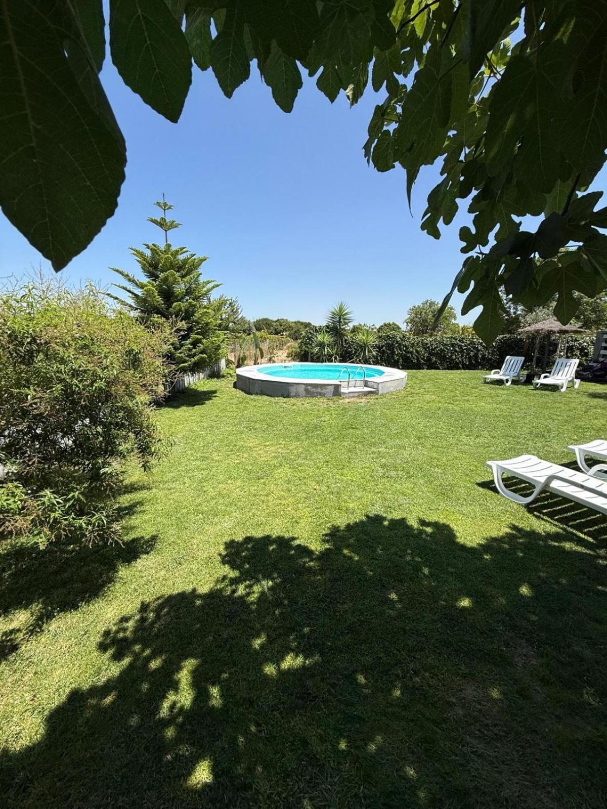 Monte Do Bide Private Farm Peace And Nature Setúbal Exterior foto